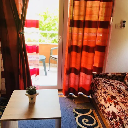 Polonia * מוסטר